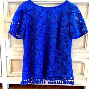 A beautiful lace blouse.   Has butterflies print.